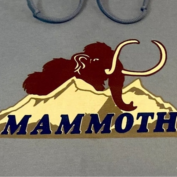 Mammoth Mountain Women XL Baby Blue Gildan Cotton Blend Pull Over Hoodie Sweater - Picture 2 of 4